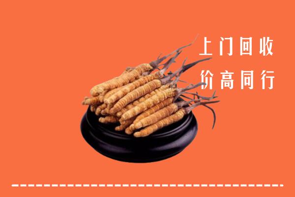 高价求购：泰安宁阳回收散虫草