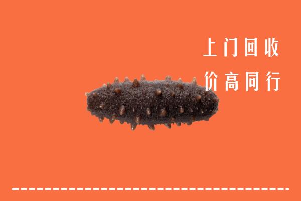 泰安宁阳回收海参