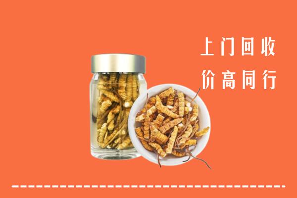 泰安宁阳回收冬虫夏草